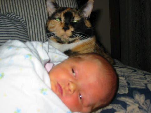 Brazil and Jane
